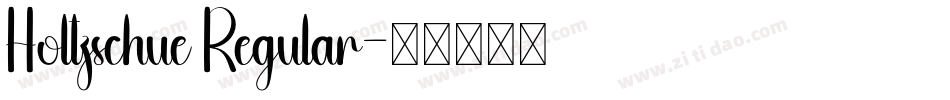 Holtzschue Regular字体转换